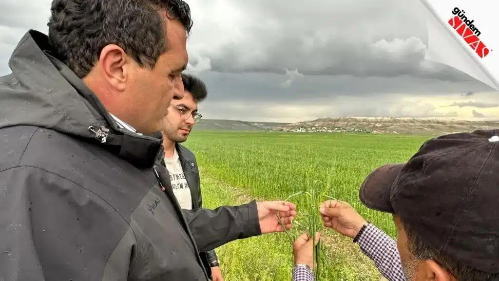 Karasu: "Sivas Afet Bölgesi İlan Edilip Çiftçinin Zararı Karşılansın" Karasu Sivas Afet Bolgesi Ilan Edilip Ciftcinin Zarari Karsilansin2 jpg | Gündem Sivas™ Haber