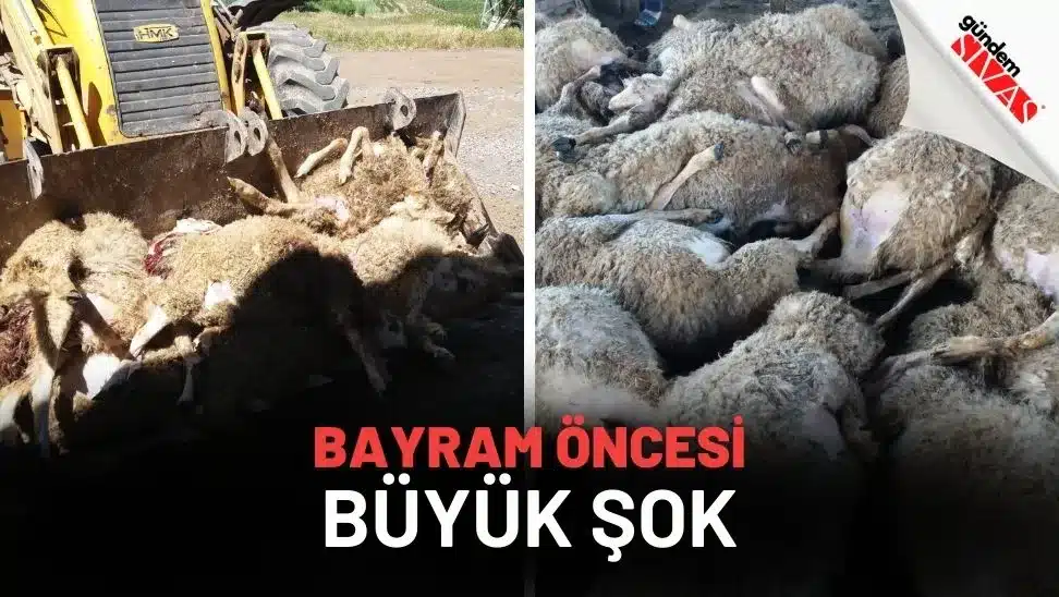 Kurban Bayram'ı Öncesi Büyük Şok Kurban Bayrami Oncesi Buyuk Sok jpg | Gündem Sivas™ Haber