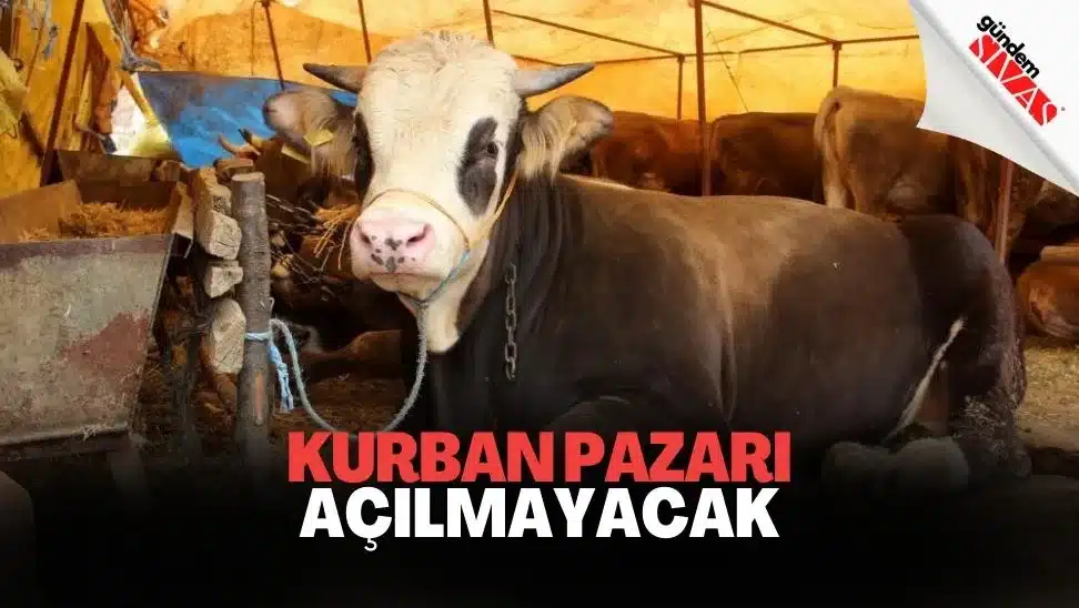 Sivasta Kurban Pazari Acilmayacak jpg | Gündem Sivas™ | Sivas Haberleri