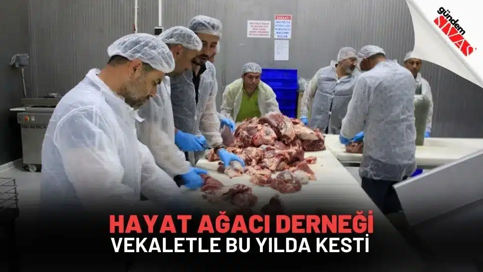 Hayat Ağacı Derneği Vekaletle Bu Yılda Kesti Hayat Agaci Dernegi Vekaletle Bu Yilda Kesti jpg | Gündem Sivas™ Haber
