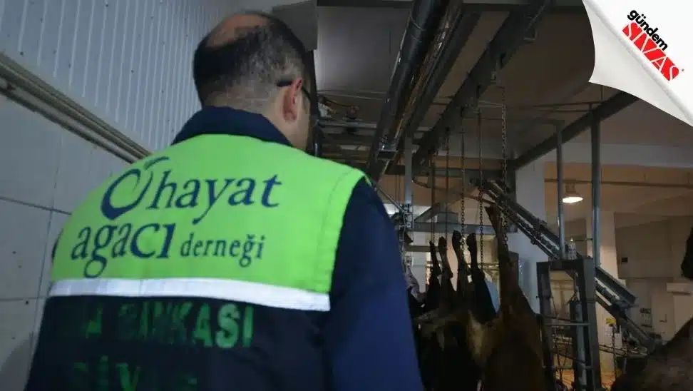 Hayat Ağacı Derneği Vekaletle Bu Yılda Kesti Hayat Agaci Derneginde Kurbanlar Kesildi3 jpg | Gündem Sivas™ Haber