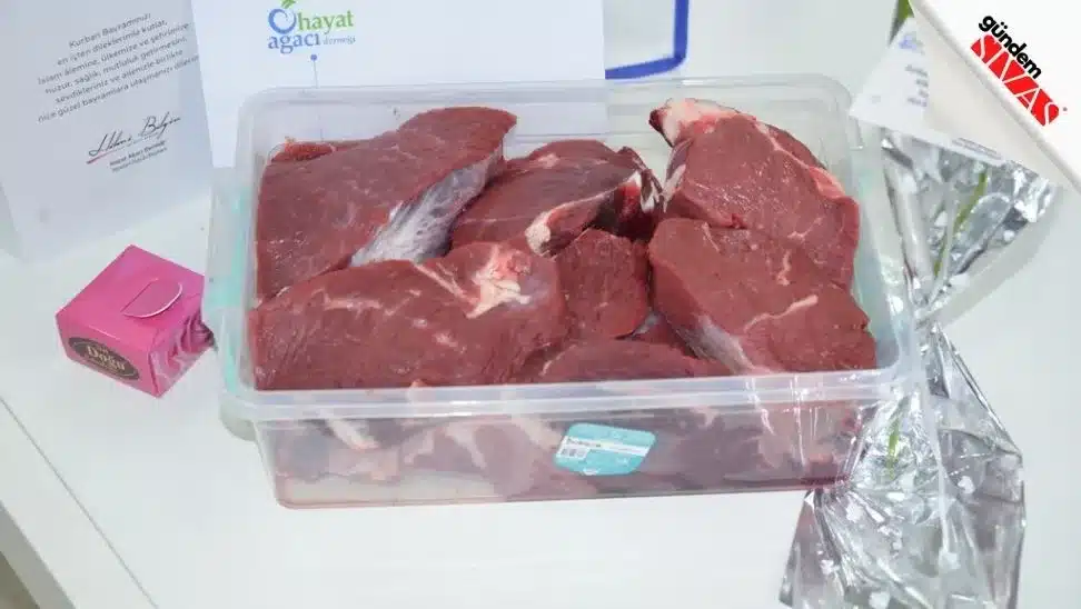 Hayat Ağacı Derneği Vekaletle Bu Yılda Kesti Hayat Agaci Derneginde Kurbanlar Kesildi4 jpg | Gündem Sivas™ Haber