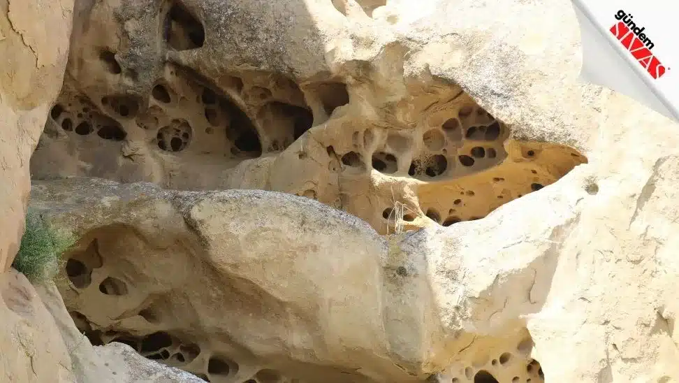 Neden Yapıldığını Kimse Bilmiyor Neden Yapildigini Kimse Bilmiyor2 jpg | Gündem Sivas™ Haber