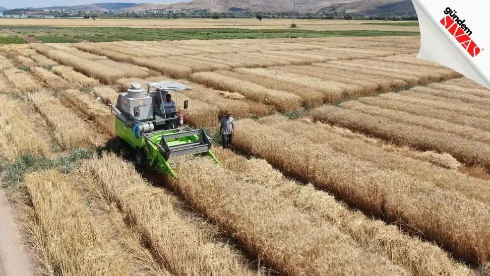 Dunyanin Gozu Bu Tarlada3 jpg | Gündem Sivas™ Haber
