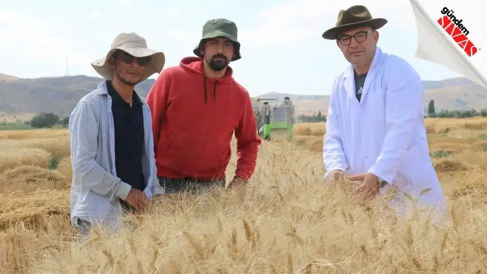 Dunyanin Gozu Bu Tarlada4 jpg | Gündem Sivas™ Haber