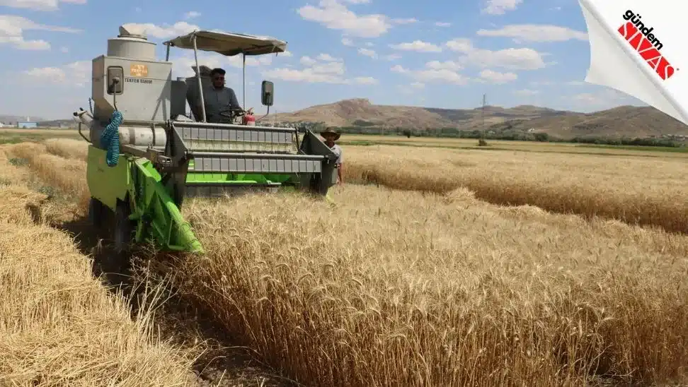 Dunyanin Gozu Bu Tarlada6 jpg | Gündem Sivas™ Haber