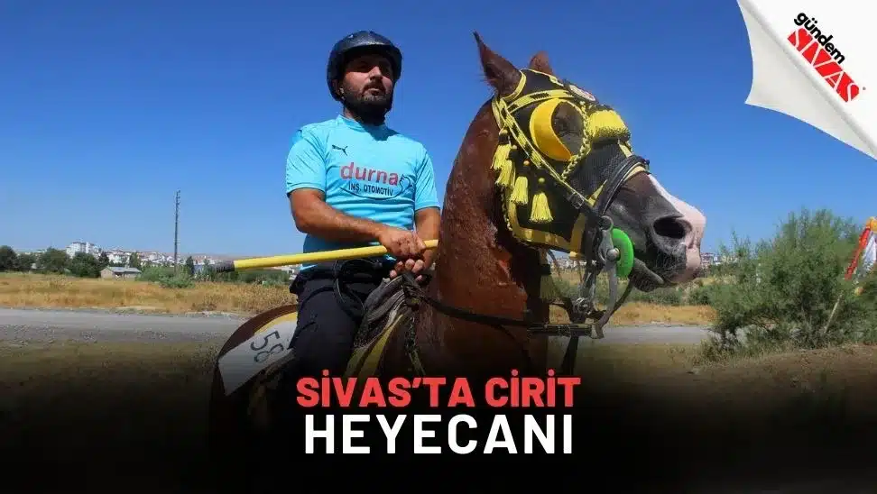 Sivas’ta Cirit Heyecanı Sivasta Cirit Heyecani 1 jpg | Gündem Sivas™ Haber
