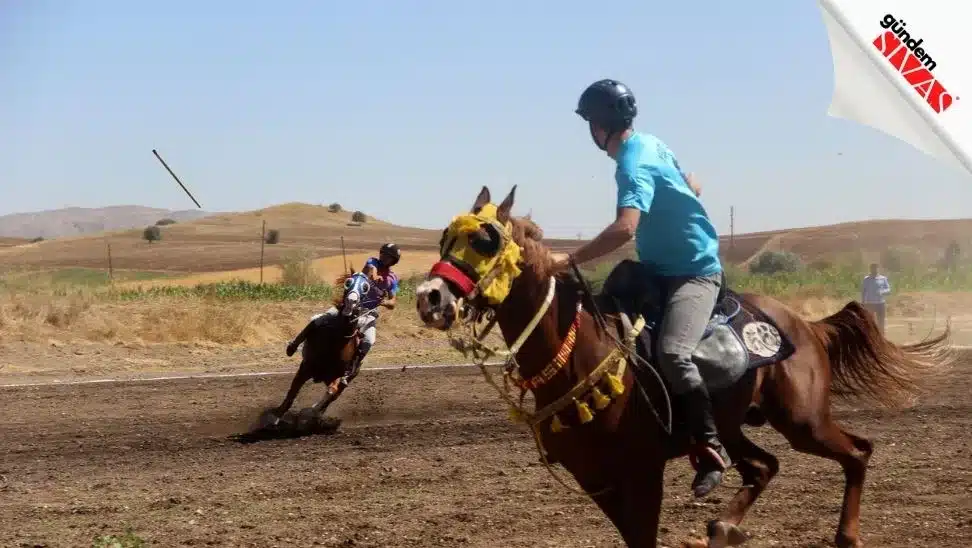 Sivas’ta Cirit Heyecanı Sivasta Cirit Heyecani 2 jpg | Gündem Sivas™ Haber