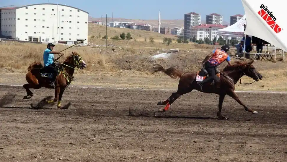 Sivas’ta Cirit Heyecanı Sivasta Cirit Heyecani 3 jpg | Gündem Sivas™ Haber