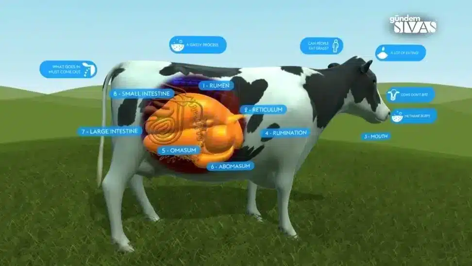 Selvet Medikal'den Küresel Isınma İçin Çözüm Arayışı