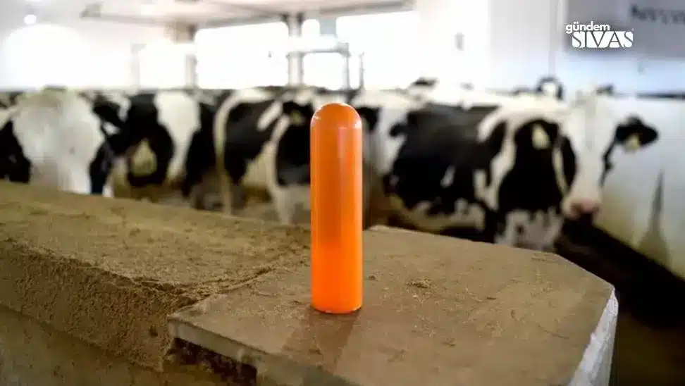 Selvet Medikal'den Küresel Isınma İçin Çözüm Arayışı