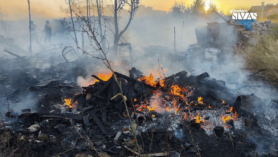 Yanginda 6 Kopek Telef Oldu | Gündem Sivas™ Haber