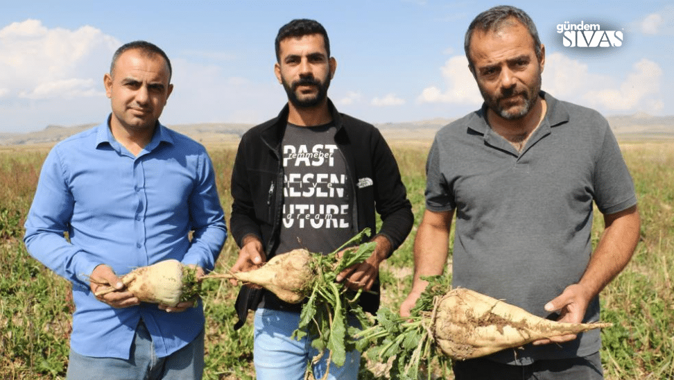 Felaket Ciftcileri Vurdu Binlerce Lira Zarar 1 | Gündem Sivas™ Haber