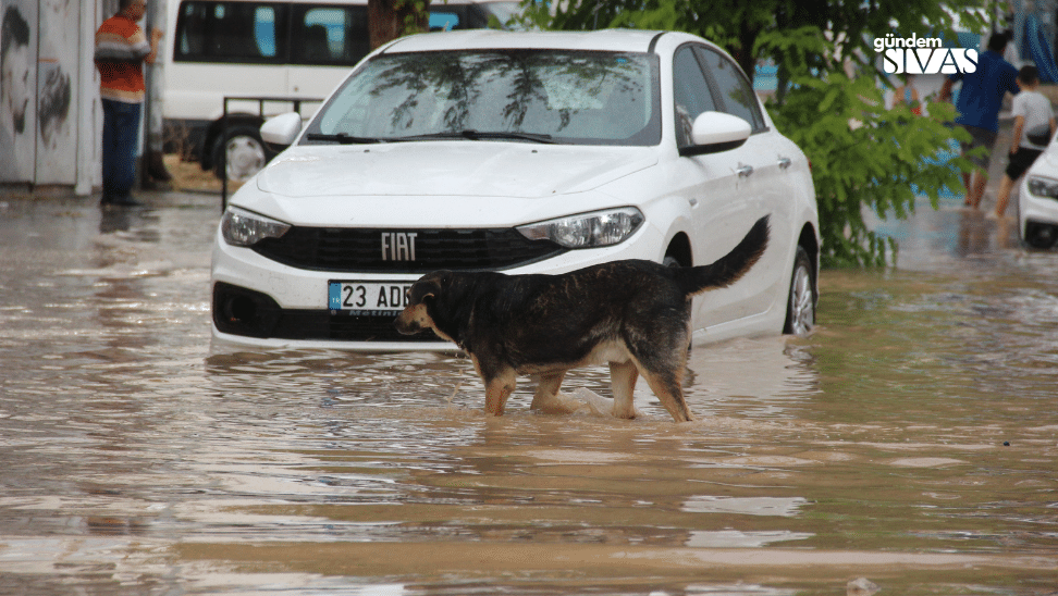 Sivas'ta Hayatı Olumsuz Etkiledi Saganak Yagis Sivasta Hayati Olumsuz Etkiledi 2 | Gündem Sivas™ Haber