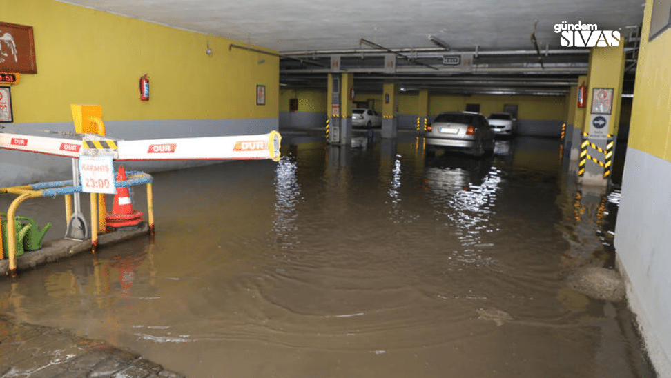 Sivas'ta Tespit Çalışmaları Başlatıldı Sivasta Tespit Calismalari Baslatildi3 | Gündem Sivas™ Haber