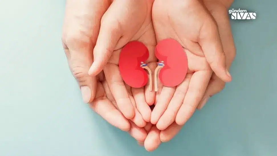 Bakan Kocadan Cagri Organ Bagiscisi Olun 1 jpg | Gündem Sivas™ Haber