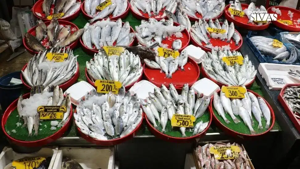 Denizsiz Şehirde Deniz Lezzetleri Denizsiz Sehirde Deniz Lezzetleri2 jpg | Gündem Sivas™ Haber