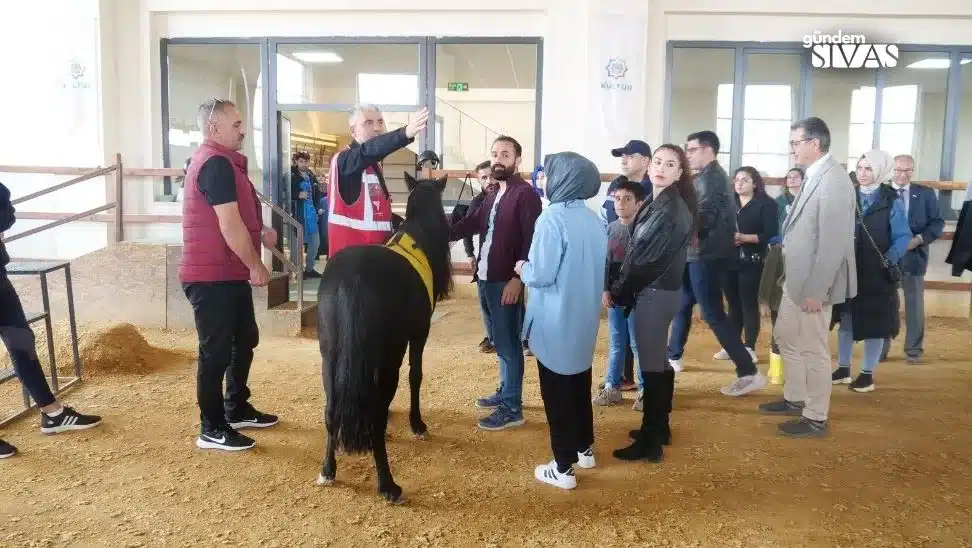 İlk Engeller Hippoterapi İle Aşılıyor Ilk Engeller Hippoterapi Ile Asiliyor2 jpg | Gündem Sivas™ Haber