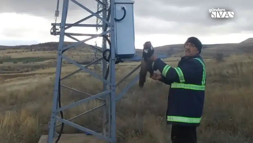 Yaramaz Sansar Trafoya Girdi Yaramaz Sansar Trafoya Girdi1 jpg | Gündem Sivas™ Haber