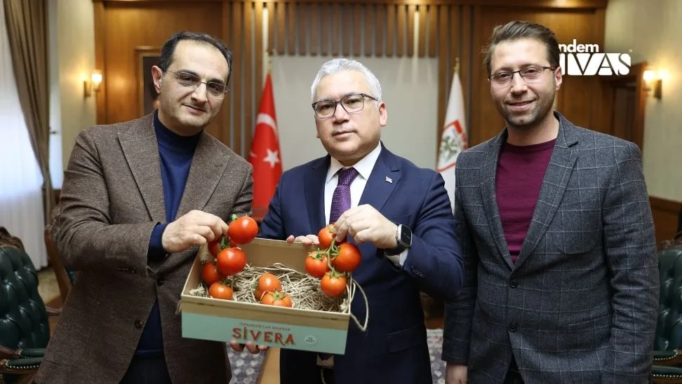 Sivasta Domates Hasadi Hiz Kazandi 2 jpg | Gündem Sivas™ Haber