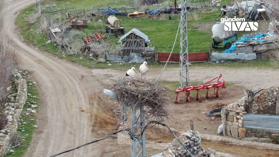 Nisan Degil Mart Ayinda Ortaya Ciktilar 2 jpg | Gündem Sivas™ Haber