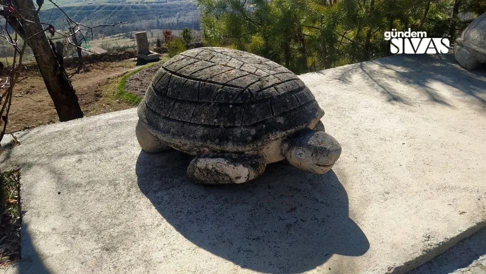 Sivas'ta Taşlardan Sanat Yapıyor Sivas'ta Taşlardan Sanat Yapıyor