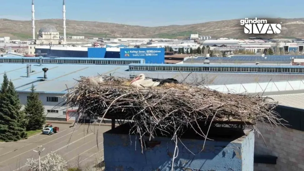 Sivas ESTAŞ Fabrikasında Üretim Duraklatıldı!