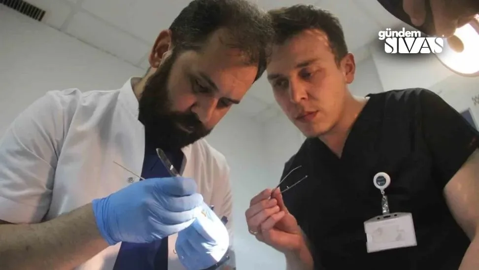 Uzmani Uyardi Hayvan Sahipleri Dikkat 2 jpg | Gündem Sivas™ Haber